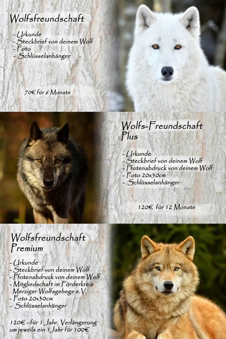 Wolfsfreundschaft Details